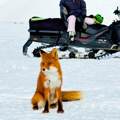 Персональный джип-тур на Камчатку: вулканы, термы и местные угощения
