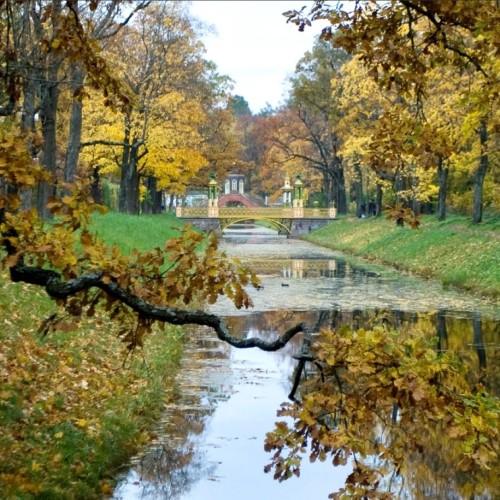 Царское Село с другого ракурса