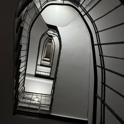 Петроградка: живая и уютная