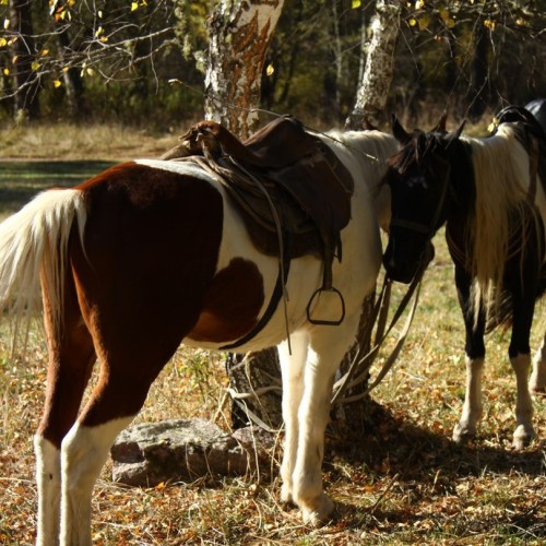 Комфортный Архыз: по горам налегке