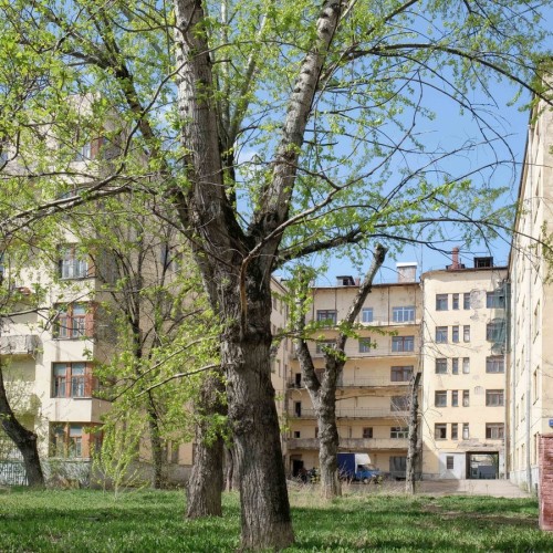 Авангард для жизни: экскурсия по Хамовникам 1920–30-х годов