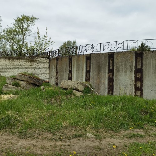 За окаменелостями музейного уровня в Ярославскую область с палеонтологом