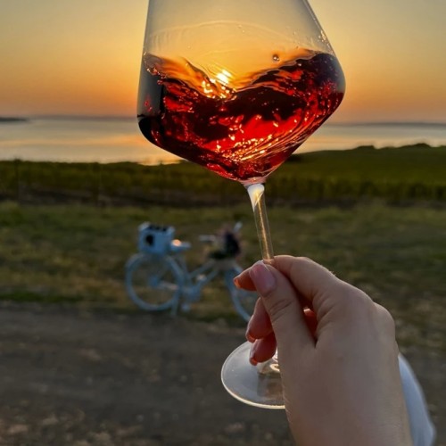 Выходные гедониста: дегустационный тур по винодельням Новороссийска