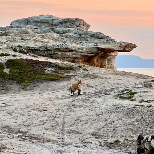 Индивидуальный джип-выезд на Средний и Рыбачий: история Севера и арктические ландшафты