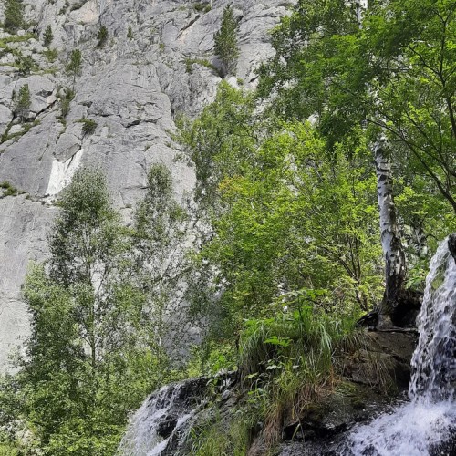 Сокровища Чемала — в путешествии с этнографом (на вашем авто)