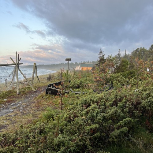 Шёпот волн, арктические дали, поморские селения: перезагрузка на Терском берегу