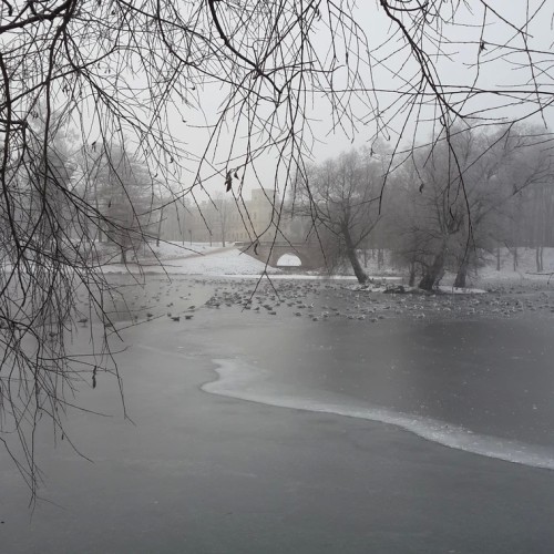 Пешеходная экскурсия по Старой Гатчине