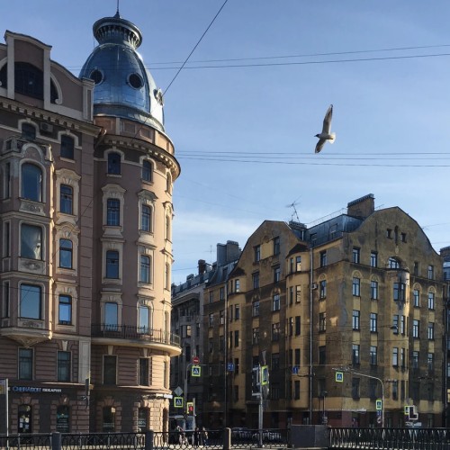 Дворцы и хижины Петроградки