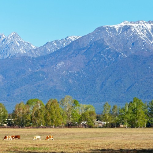 Сокровища Восточной Сибири: Иркутск, Аршан, Тункинская долина и Ольхон