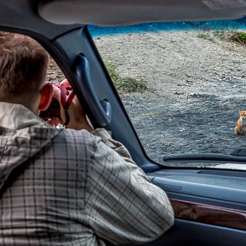Путешествие на юг Курил: бухты, пляжи и мысы острова Шикотан