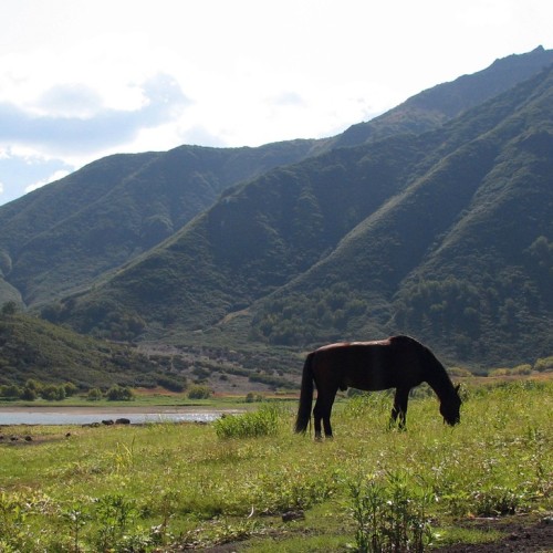 Камчатский максимум: конные прогулки, джипы, вулканы и рыбалка в Тихом океане