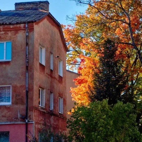 Пиво, тайны и дорога в дюны. Кёнигсбергский уикенд