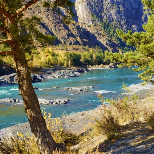 Золотые пейзажи октябрьского Алтая: Чемал, Катунь, Манжерок и Кызыл-Чин в мини-группе