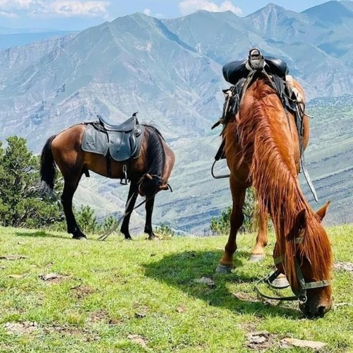 Топовые и неизвестные локации Дагестана: невероятные пейзажи и увлекательные активности