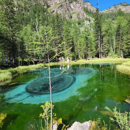 Цветение алтайской сакуры и главные локации: Гейзерное озеро, «Марсы», Катунь и Адыр-Кан