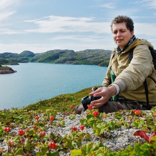 Экстремальная экспедиция на вездеходах: 1000 км вдоль Баренцева и Белого морей (всё включено)