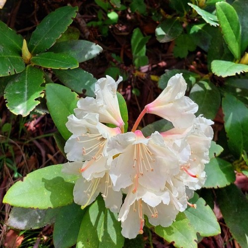 Нетипичное Приэльбрусье: треккинг налегке к 4 высокогорным озёрам с проживанием в гостинице