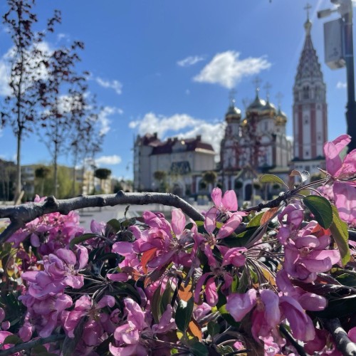 Отпуск в Калининграде и Светлогорске с экскурсиями на выбор