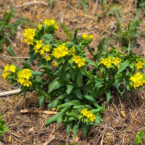 Весенний Архыз: треккинг налегке с проживанием в гостинице