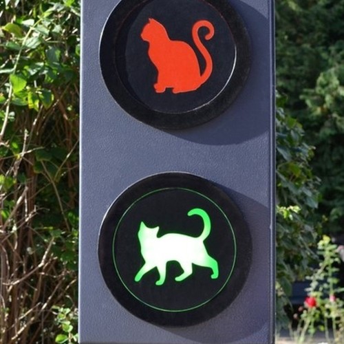 На майские в город кошек: выходные в Зеленоградске с прогулкой по Калининграду и Кушской косе