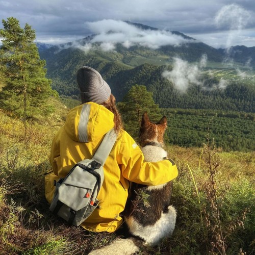 Конный тур для новичков по осеннему Алтаю с проживанием на базе. Всё включено