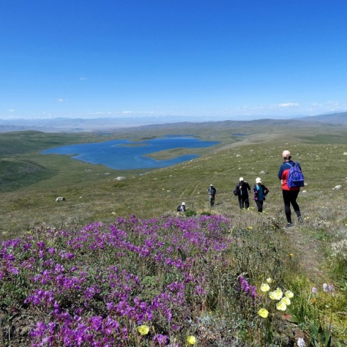 Наедине с Алтаем: высокогорные озёра, живописные долины и неземной ландшафт (всё включено)