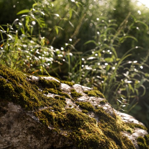 Комфорт-тур на Алтай с фотографом: полёт на вертолёте, парение и главные места (всё включено)