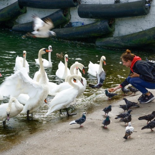 Новые грани Калининграда: необычные экскурсии и нетуристические маршруты