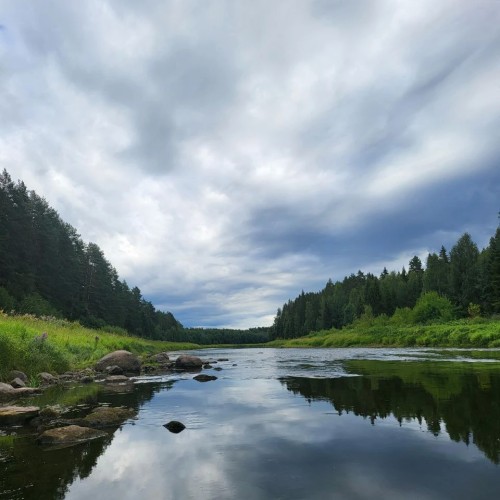 Река с картин: лёгкий сплав на байдарках по Тверце (всё включено)