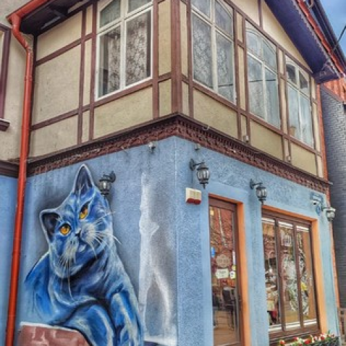 Индивидуальная прогулка выходного дня: Калининград, Зеленоградск, Куршская коса