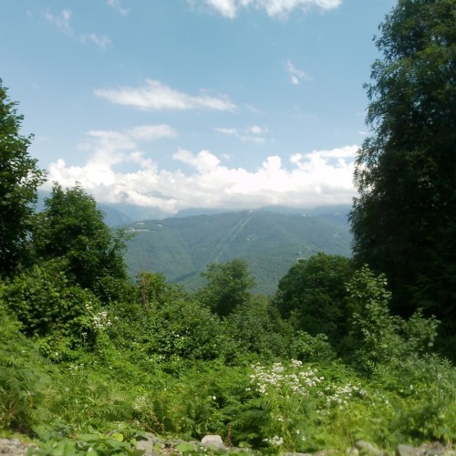 Горные купели Красной Поляны