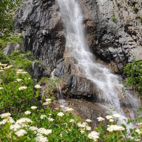 Перезагрузка на Алтае: топ локаций, заповедное озеро и моторафтинг по Катуни