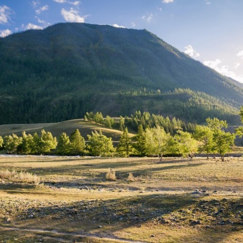 Насыщенное авто-пешее путешествие по Горному Алтаю