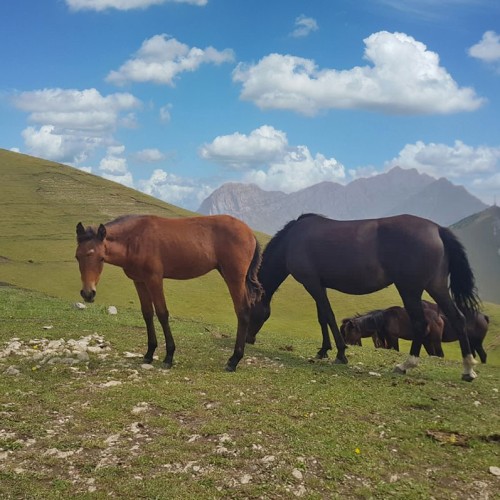Треккинг налегке по Ингушетии: святилища, башенные комплексы и гора с герба Владикавказа