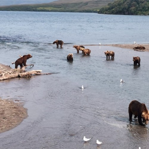 Увидеть душу Камчатки: джип-тур по неизведанным местам с круизом по Курильскому озеру (всё включено)