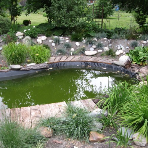 Знакомство с достопримечательностями, флорой и фауной Горного Алтая с проживанием в экодоме