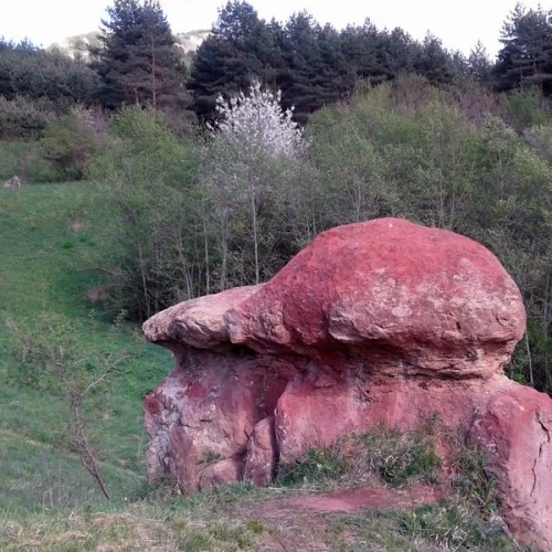 Неизведанные уголки Кисловодского парка