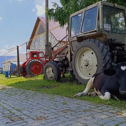 Колывань историческая