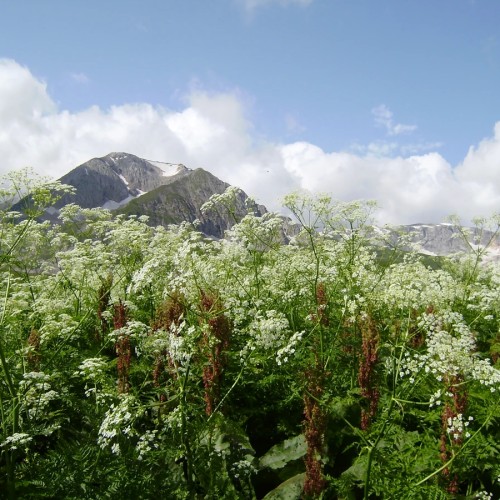 В Адыгею за походами, пещерами и древностями
