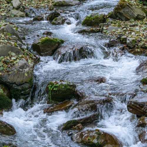 Лёгкий треккинг к водопаду Красной Поляны
