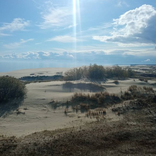 Встречай, янтарный край: индивидуальное путешествие по городам Калининградской области