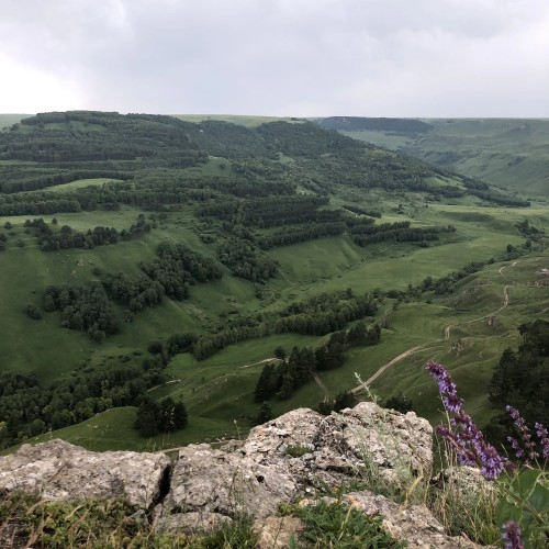 Конная прогулка в окрестностях Кисловодска