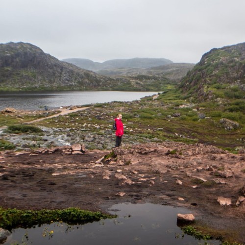 Северный экспресс-тур в мини-группе: Мурманск, Териберка и дополнительные активности на выбор