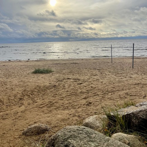 Приморский Парадиз — Сестрорецк, Репино, Комарово и Зеленогорск. Индивидуальная экскурсия