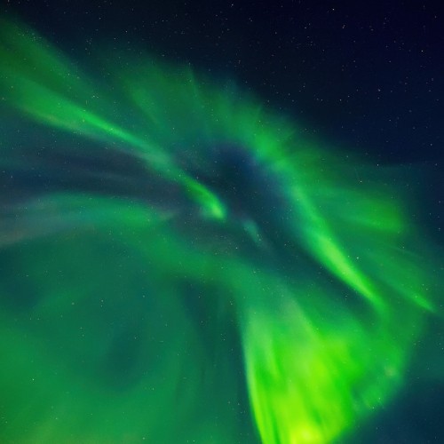 Новогодний отпуск в Териберке с праздничным ужином, арктическими блюдами и морскими деликатесами