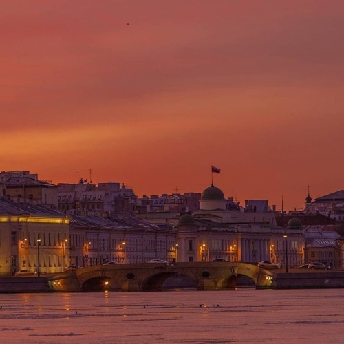 Петербург в революционных дневниках: 1917 г.