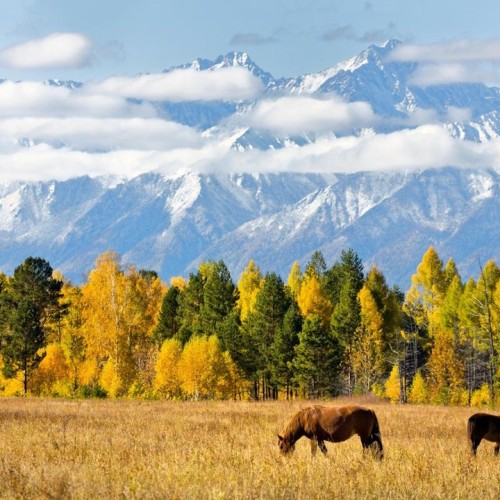 Байкальск и окрестности: от заповедника и экопарка до Тункинской долины и Аршана