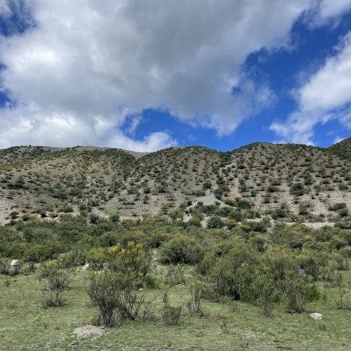 Из Горно-Алтайска — тихими тропами Чуй-Оозы