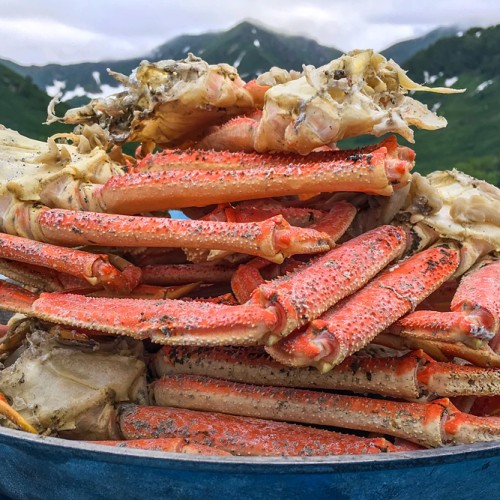 На Камчатке — вкусно есть: гастротур с рыбалкой и крабовой вечеринкой у океана