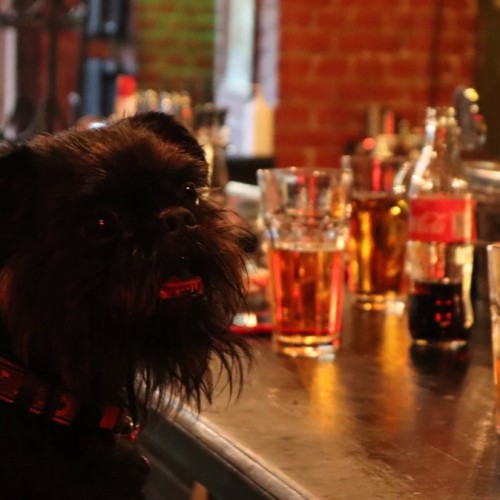 Декаданс и ренессанс: лекция-променад по необычным барам Петербурга (18+)